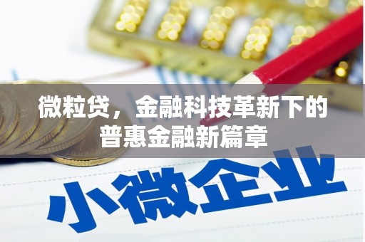 寻乌微粒贷，金融科技革新下的普惠金融新篇章