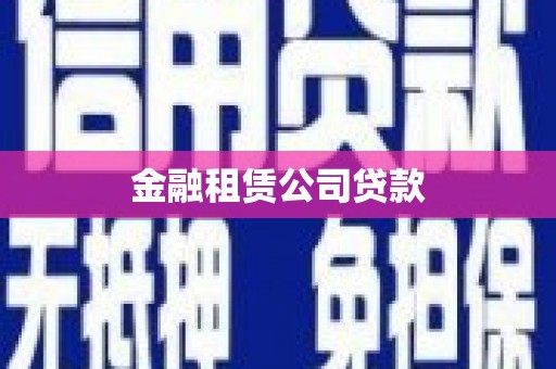 寻乌金融租赁公司贷款