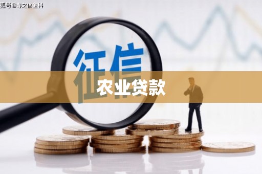 寻乌农业贷款