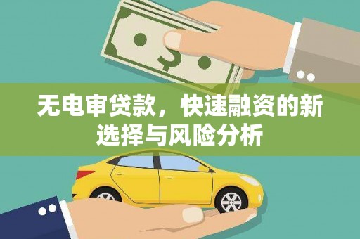寻乌无电审贷款，快速融资的新选择与风险分析