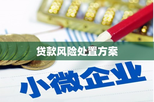 寻乌贷款风险处置方案