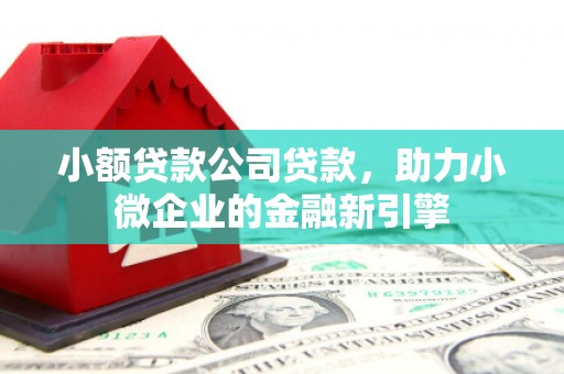 寻乌小额贷款公司贷款，助力小微企业的金融新引擎