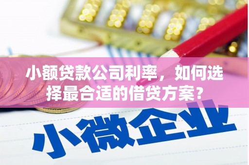 寻乌小额贷款公司利率，如何选择最合适的借贷方案？