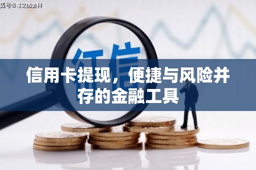 寻乌信用卡提现，便捷与风险并存的金融工具