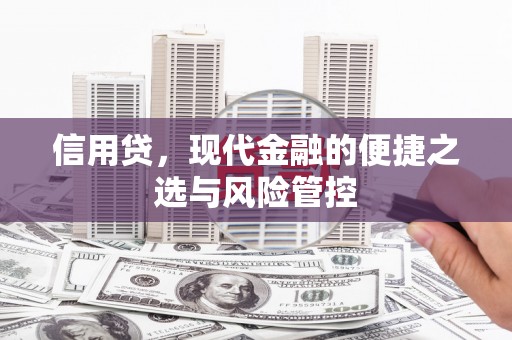 寻乌信用贷，现代金融的便捷之选与风险管控