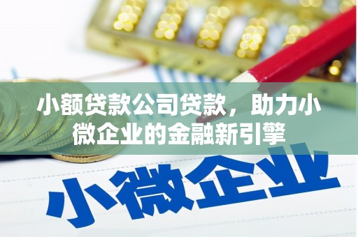 寻乌小额贷款公司贷款，助力小微企业的金融新引擎