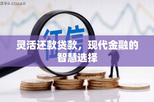寻乌灵活还款贷款，现代金融的智慧选择