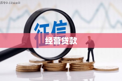 寻乌经营贷款