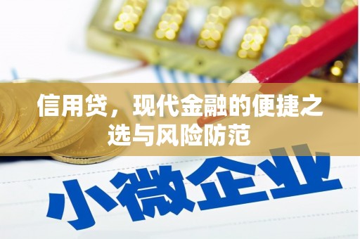 寻乌信用贷，现代金融的便捷之选与风险防范