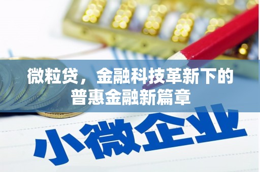 寻乌微粒贷，金融科技革新下的普惠金融新篇章