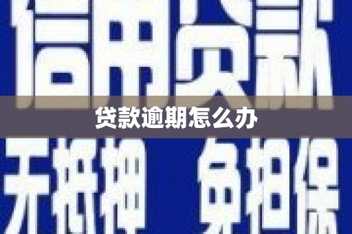 寻乌贷款逾期怎么办