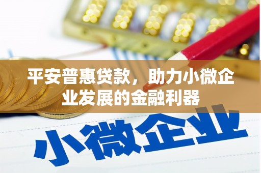 寻乌平安普惠贷款，助力小微企业发展的金融利器