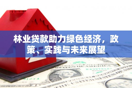 寻乌林业贷款助力绿色经济，政策、实践与未来展望