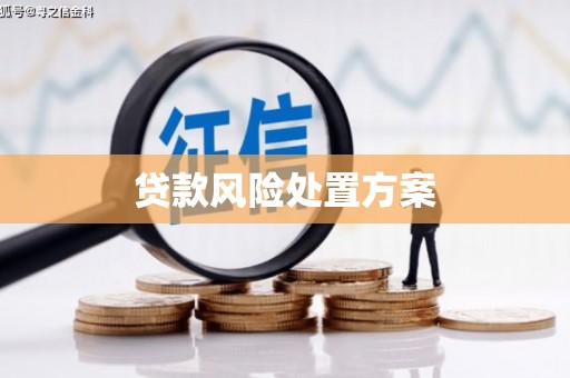 寻乌贷款风险处置方案